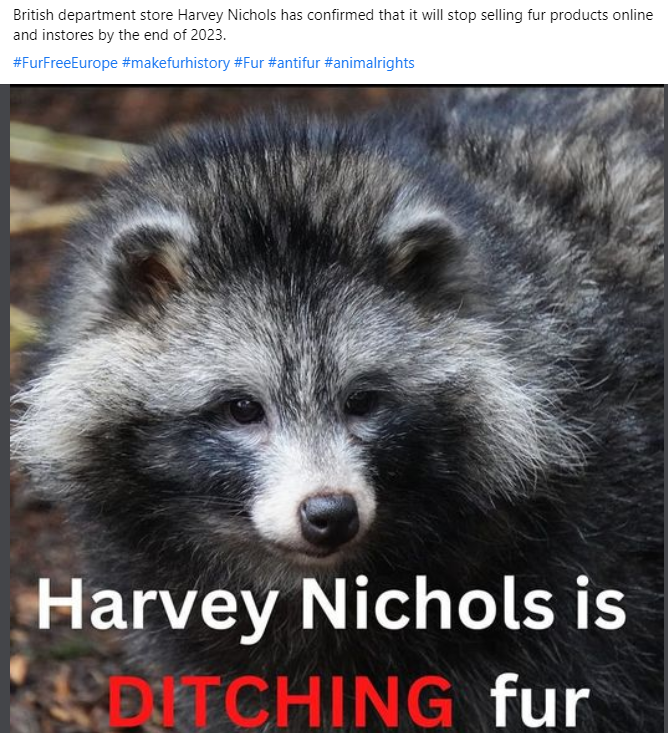 British department store Harvey Nichols has confirmed that it will stop selling fur products online and in-stores by the end of 2023.
#FurFreeEurope #makefurhistory #Fur #antifur #animalrights
@AnimalsCount 
@Jane_C_Smith 
@vanessahhudson 
@SafferTheGaffer 
@NARACampaigns