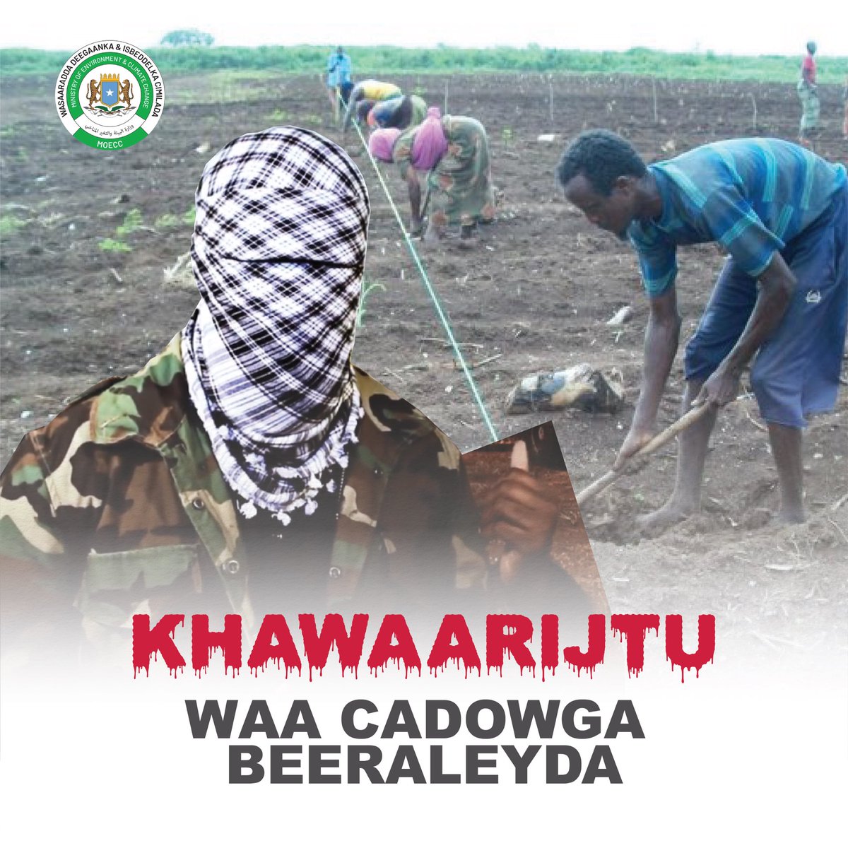 KhadijaMakhzumi's tweet photo. The terrorists had an illegal authority over most of the crop-producing riverine areas in ๐ธ๐ดover the last 15 yrs. This resulted in lack of investment in agriculture & forced thousands of farmers to flee their lands which reduced the country's production.
#Somalia
#OneEnemy https://t.co/urdapxH7O8