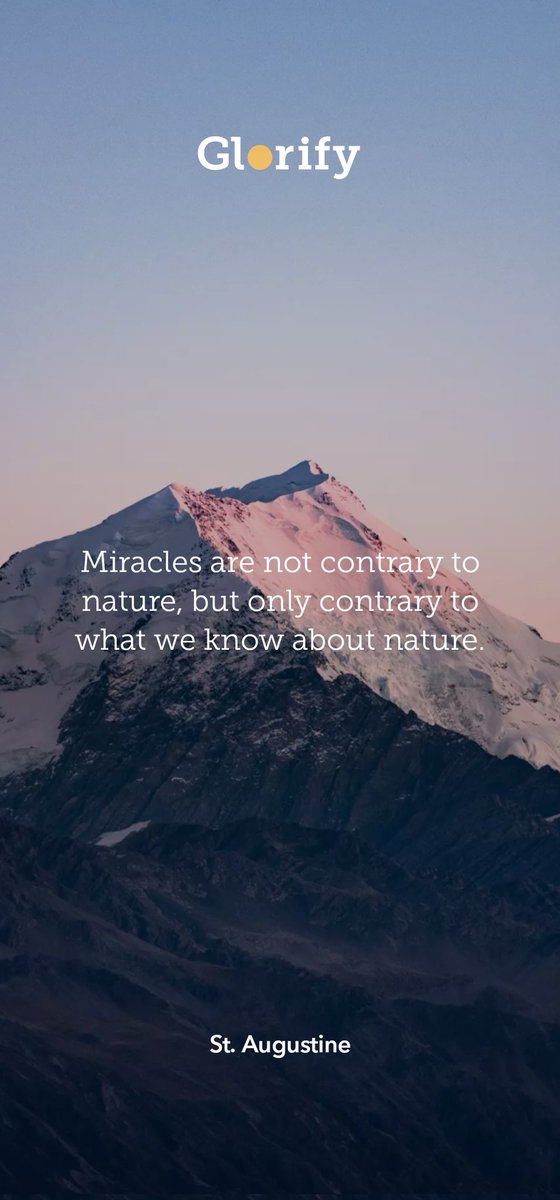 Danielle Rowan tweet media