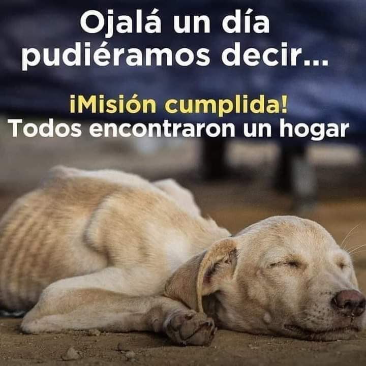 Ojalá …🥺