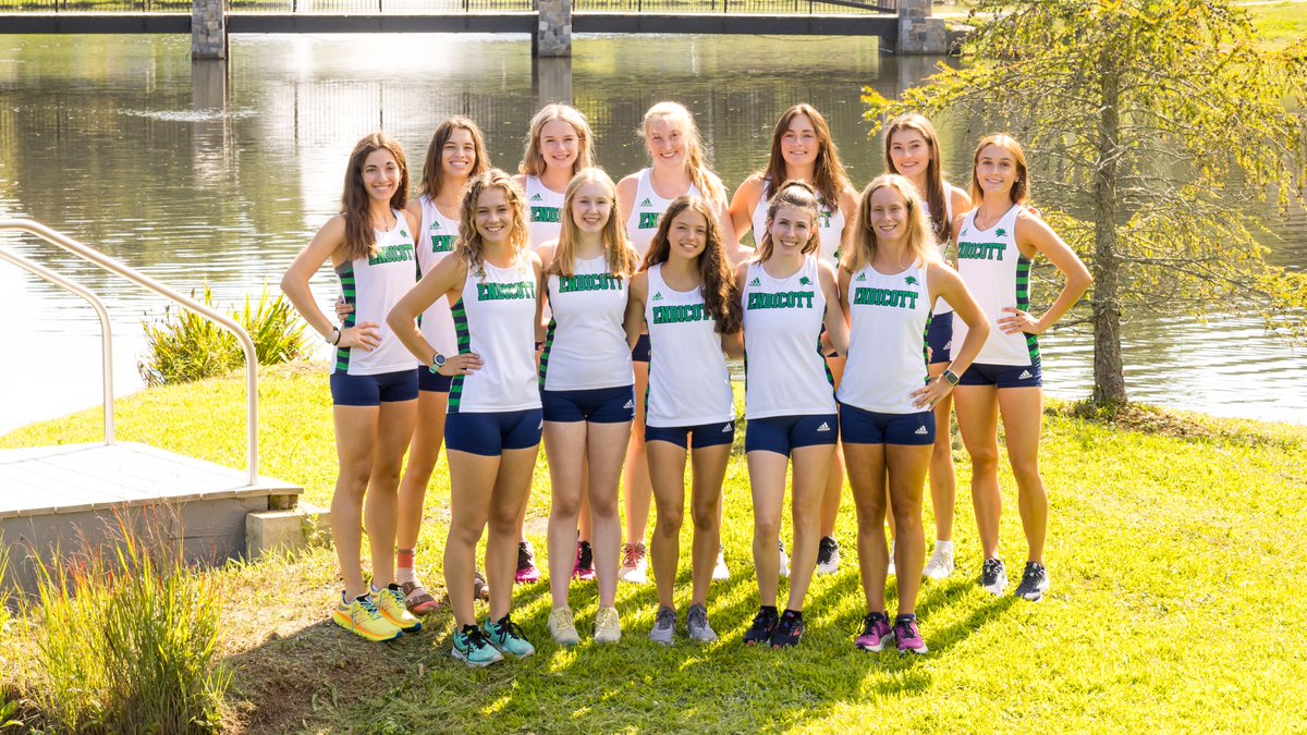 Endicott Athletics tweet media