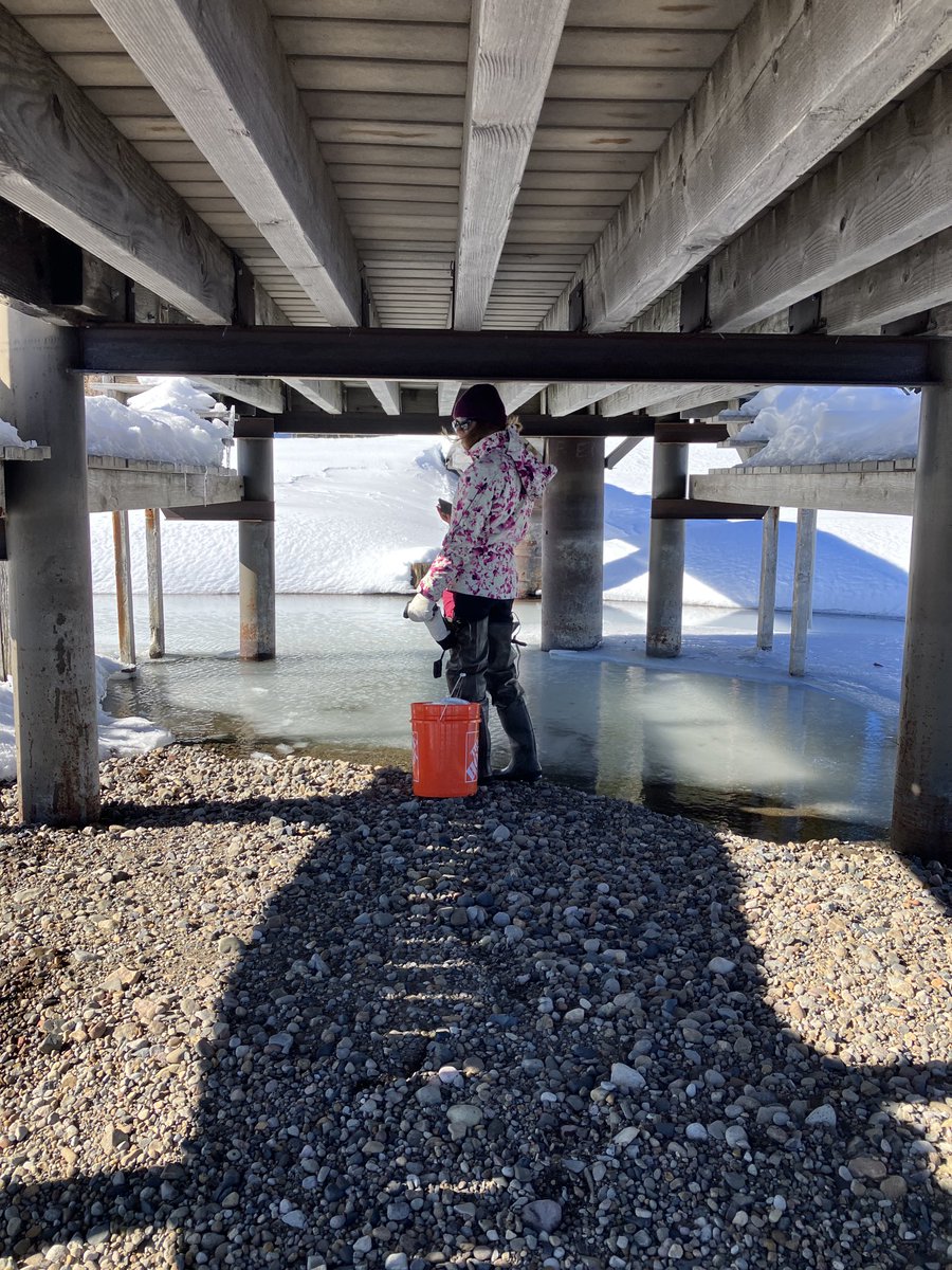 Kelly Loria tweet media