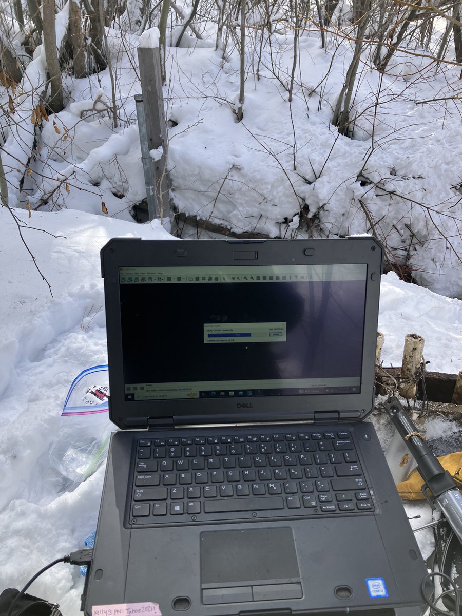 Kelly Loria tweet media