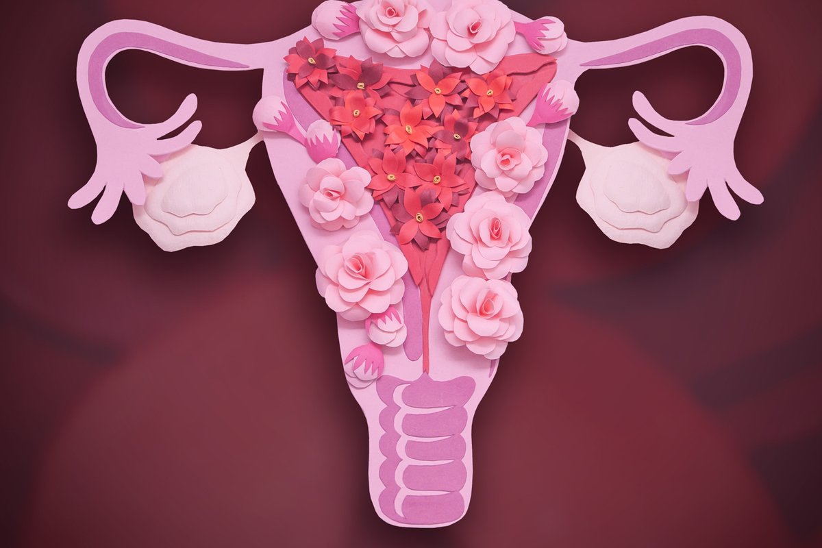 For more information on cervical cancer, please visit:
⚡ cancer.gov/types/cervical
⚡cdc.gov/cancer/cervica…