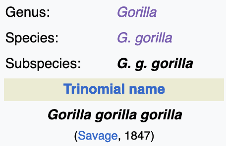 do you ever think about how the western lowland gorilla's scientific classification is gorilla gorilla gorilla