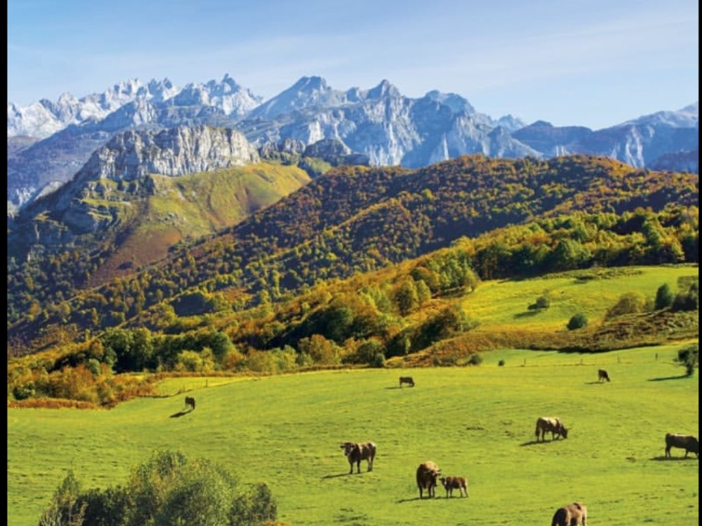 Robert Vallet tweet media