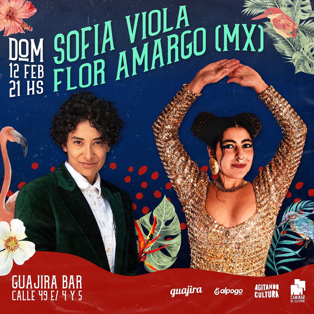 Vuelve <a href="/ViolaSofia/">Sofia Viola</a> a #LaPlata esta vez acompañada de une de les grandes referentes de la música actual mexicana <a href="/FlorAmargo/">Flor amargo</a> 
DOM 13 FEBRERO - 21 hs en <a href="/GuajiraArteyCoc/">Guajira ArteyCocina</a> 
Anticipadas en: bit.ly/sofiayflorenla…