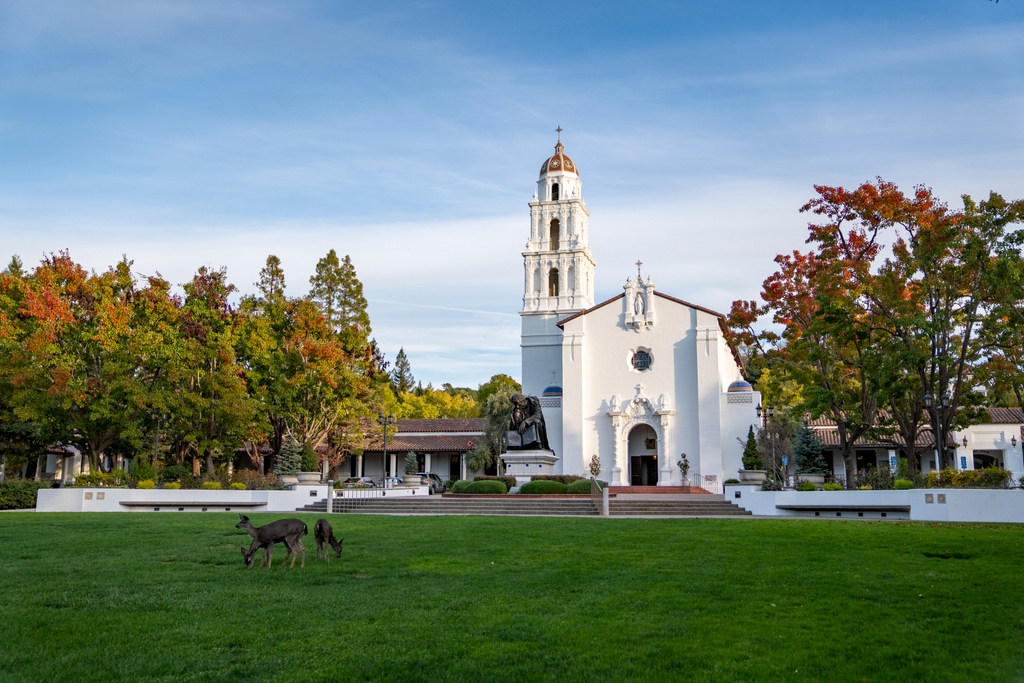 stmarysca's tweet photo. ❤️💙Happy Break Gaels! 
.
.
.
#omgsmc #imagael #gogaels #campus https://t.co/mErijadIuM
