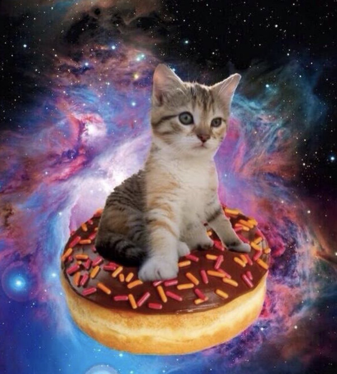 Will the show finally be Cats in Space?? Find out on Wednesday 2/1 at 8pm in the band room!!