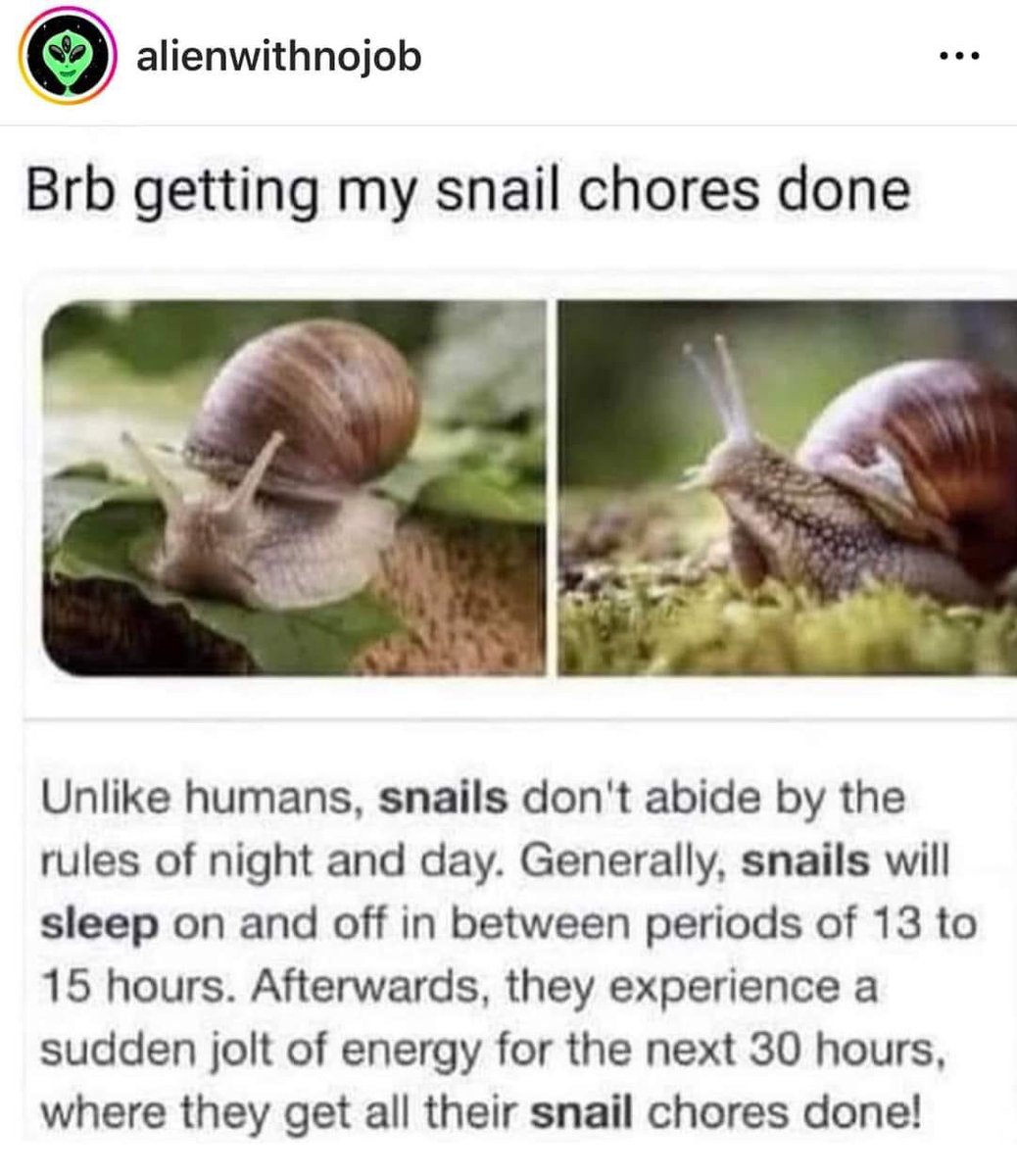 Is it #adhd or are you a snail?