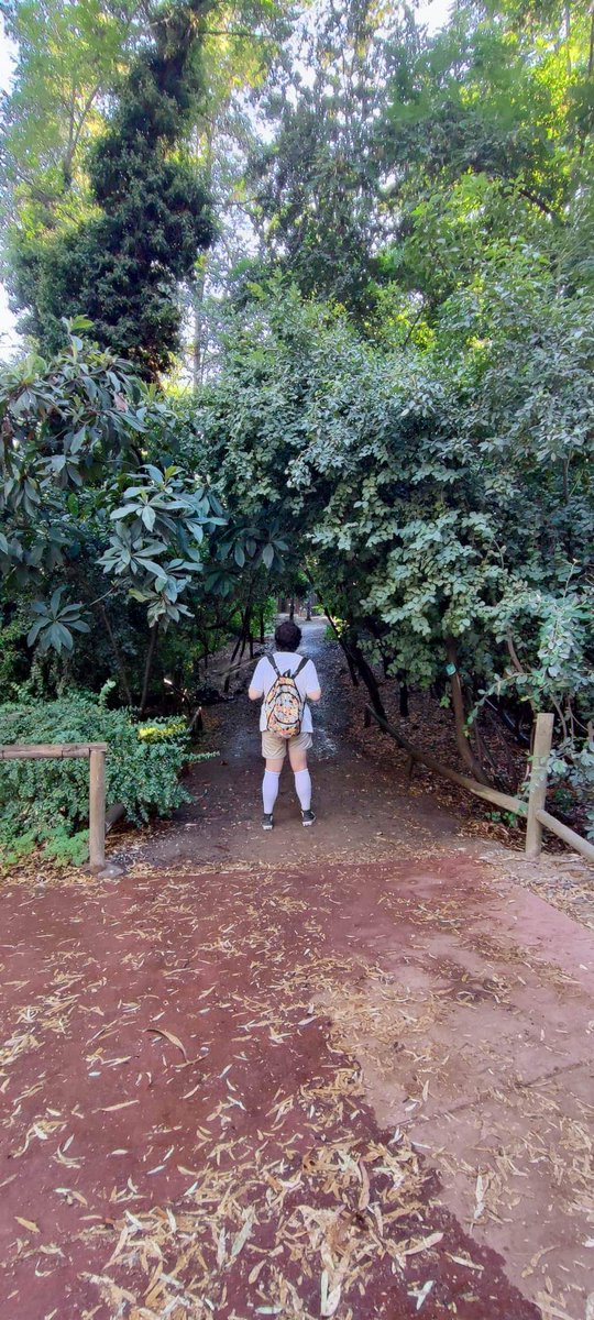 HolaBowen's tweet photo. This travel has been really good.
I've learned a lot about myself and getting to be with GS has been such a joy.
I visited the Santa LucΓa and San Cristobal β°οΈ
Went to the Santiago Forest π²
I cried, lot of times. But I also laughed a hella lot.
Thank you my friendsπ #GoGeek https://t.co/1fI5zkG8LW