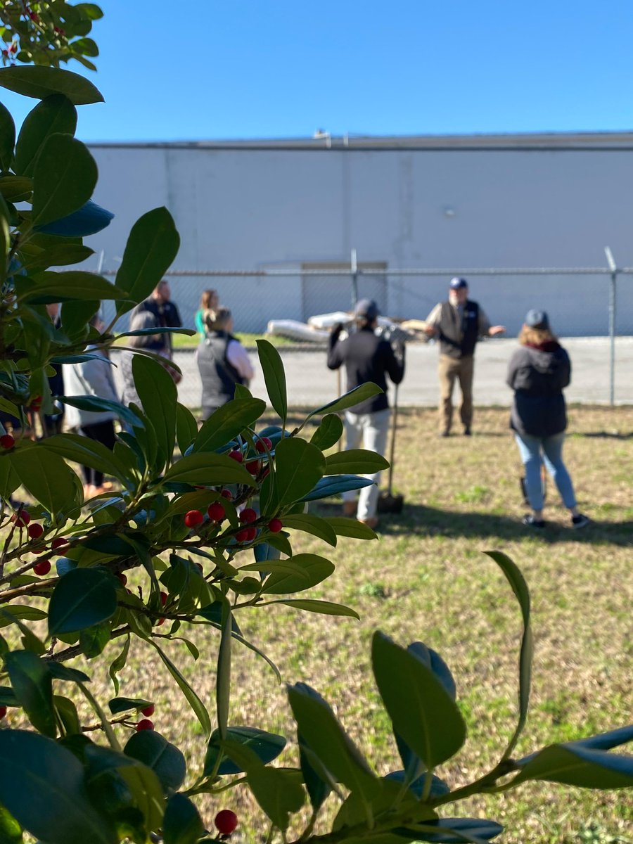 greenscapeofjax's tweet photo. We planted trees with @FirstHorizonBnk & @NewsfromJEA on the #S-Line, the 4.8 mi rails-to-trails park that will spur urban renewal. Fresh air, sunshine, community spirit: great way to end the work week! @jaxparks @AbelHarding
#WeDigTrees #TeamWork #BuildCommunity #UrbanForest https://t.co/iSRgImXrMm