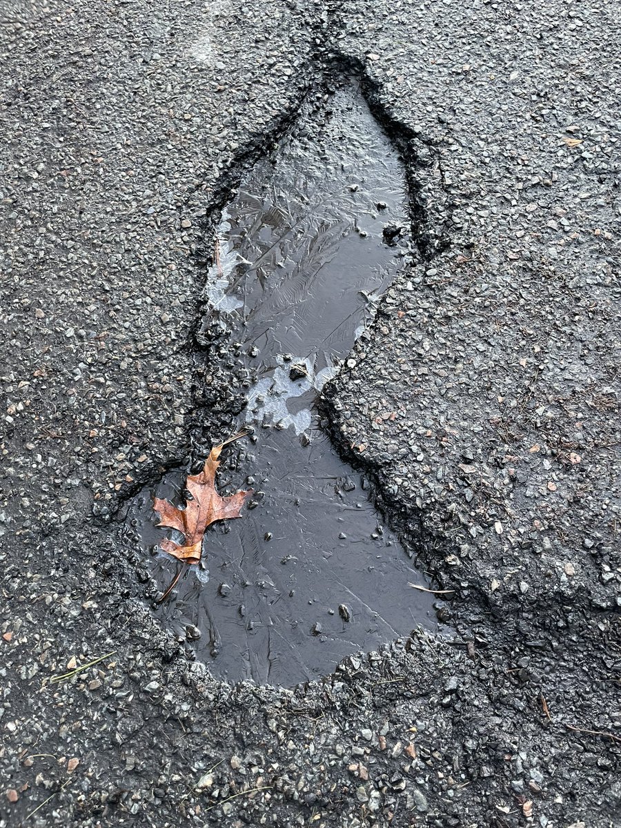 Susan Erickson tweet media