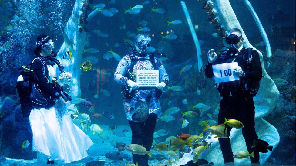 intriper's tweet photo. 6 ideas para celebrar una boda de una manera distinta 😜👰🏻‍♀️
 https://t.co/M1iDVsJ4RD https://t.co/WrIDd4nPuo