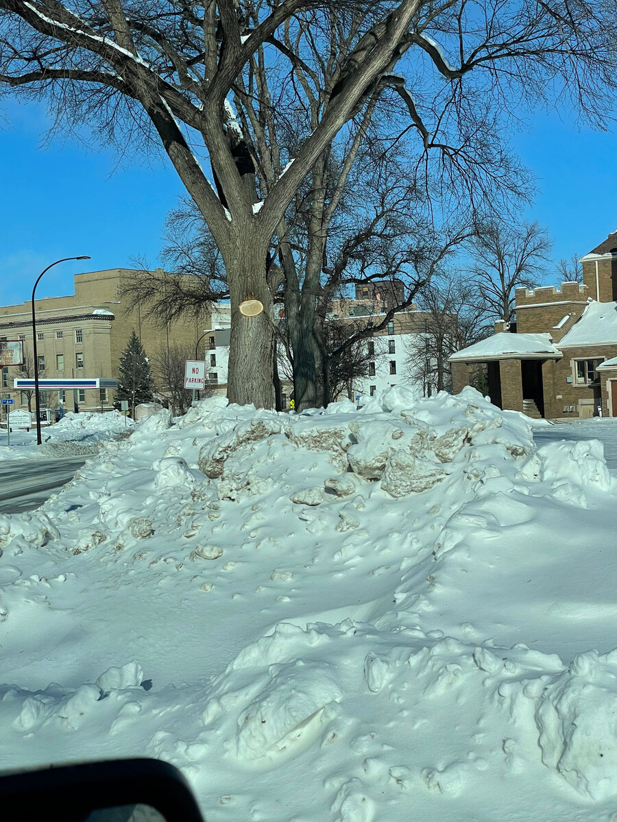 Grand Forks 311 Requests tweet media
