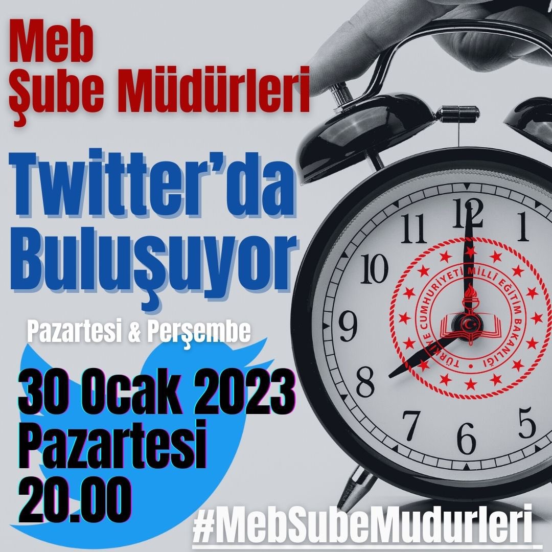 Lexi Xiao (@lexixiao1111) on Twitter photo 