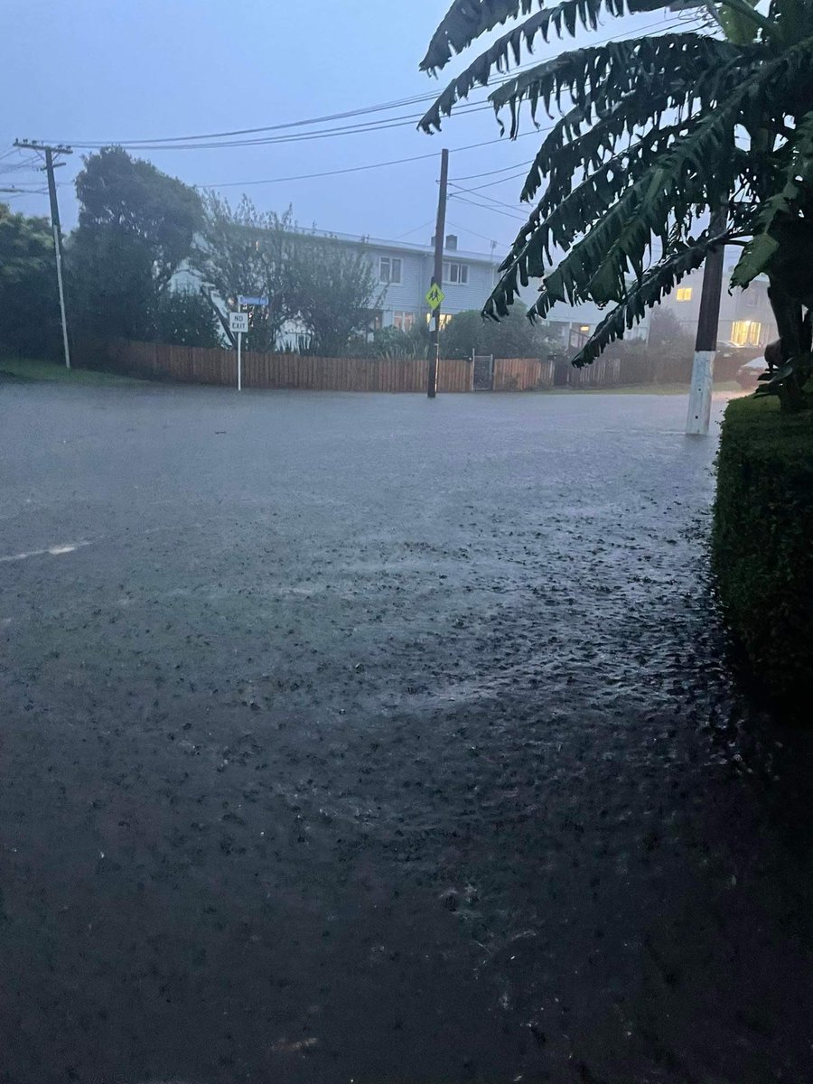 codie1991's tweet photo. Cannot believe the rain and the utter chaos that has ensued. Hoping everyone’s doing good in Auckland. Our friends messaged us on date night to get back immediately as our street started to flood badly. Had to abandon the car and wade on foot to make sure the dog was okay. https://t.co/kn9z1XltiP