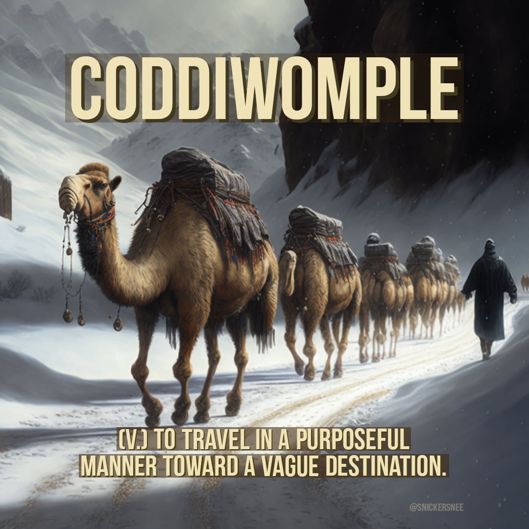 shannonhilson's tweet image. I rather miss doing this. It's been literal years since I last coddiwompled. 🤔

#WordOfTheDay #WritersLife #DictionaryTime #WrittenWord #FunWithWords