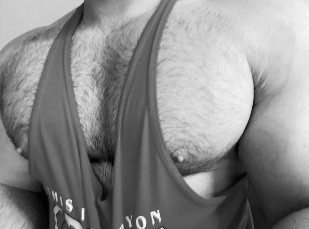studwolf tweet picture