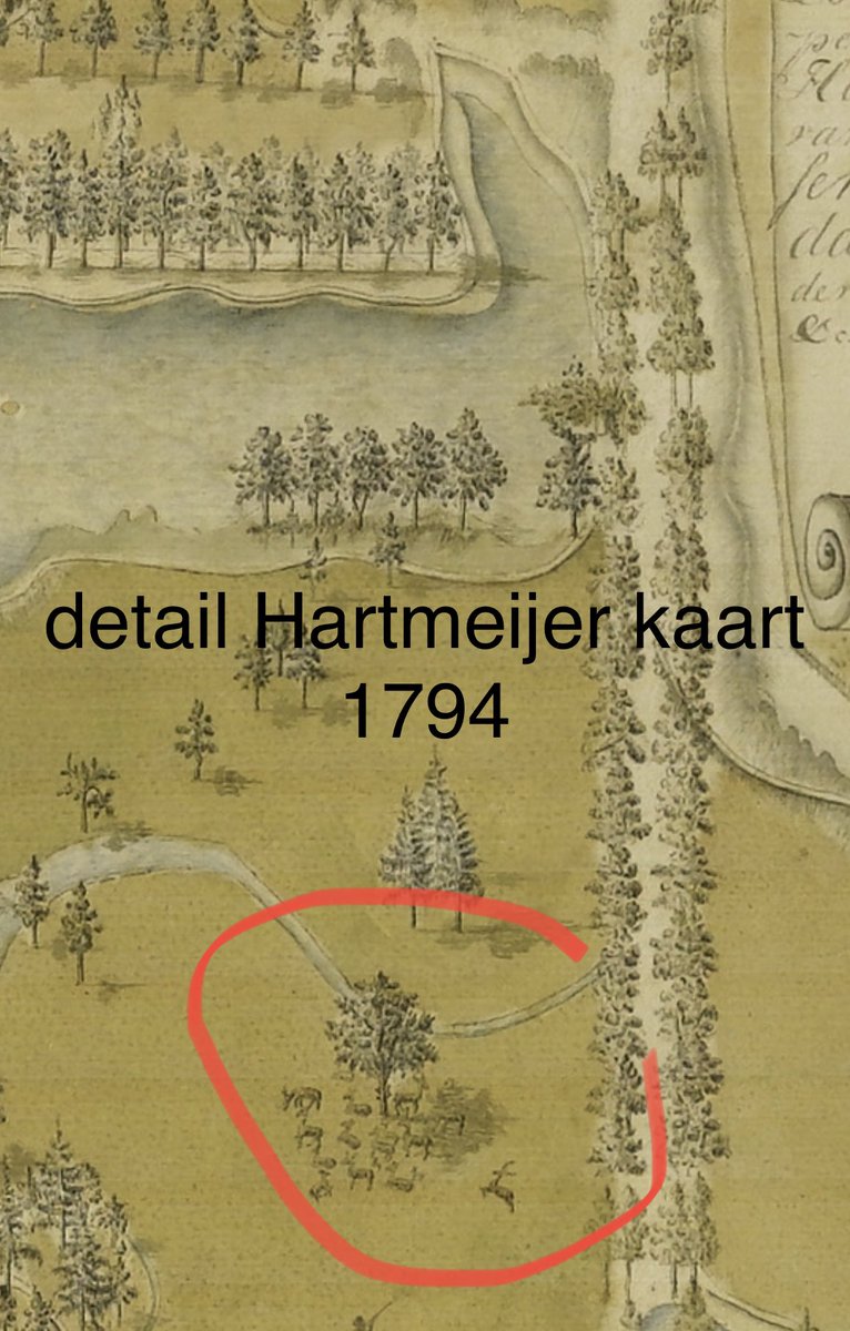Al meer dan 250 jaar
lopen er onafgebroken herten in de wildbaan van het rijksmonumentele huispark van Twickel. Onderdeel van de aanleg in vroege landschapsstijl. Gekoesterd en geliefd door bezoekers en eigenaren. Dat mag niet meer?😳<a href="/ministerlnv/">MinisterN_S</a> ?