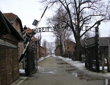 Journée internationale en mémoire des victimes de la #Shoah et commémoration de la Libération du camp d’#Auschwitz.Continuons, inlassablement,de perpétuer le
travail de mémoire auprès des jeunes et de lutter contre l'antisémitisme.
#HolocaustMemorialDay 
<a href="/MDelafosse/">Michaël Delafosse - Maire de Montpellier</a> <a href="/YadVashemFr/">YadVashemFr</a>