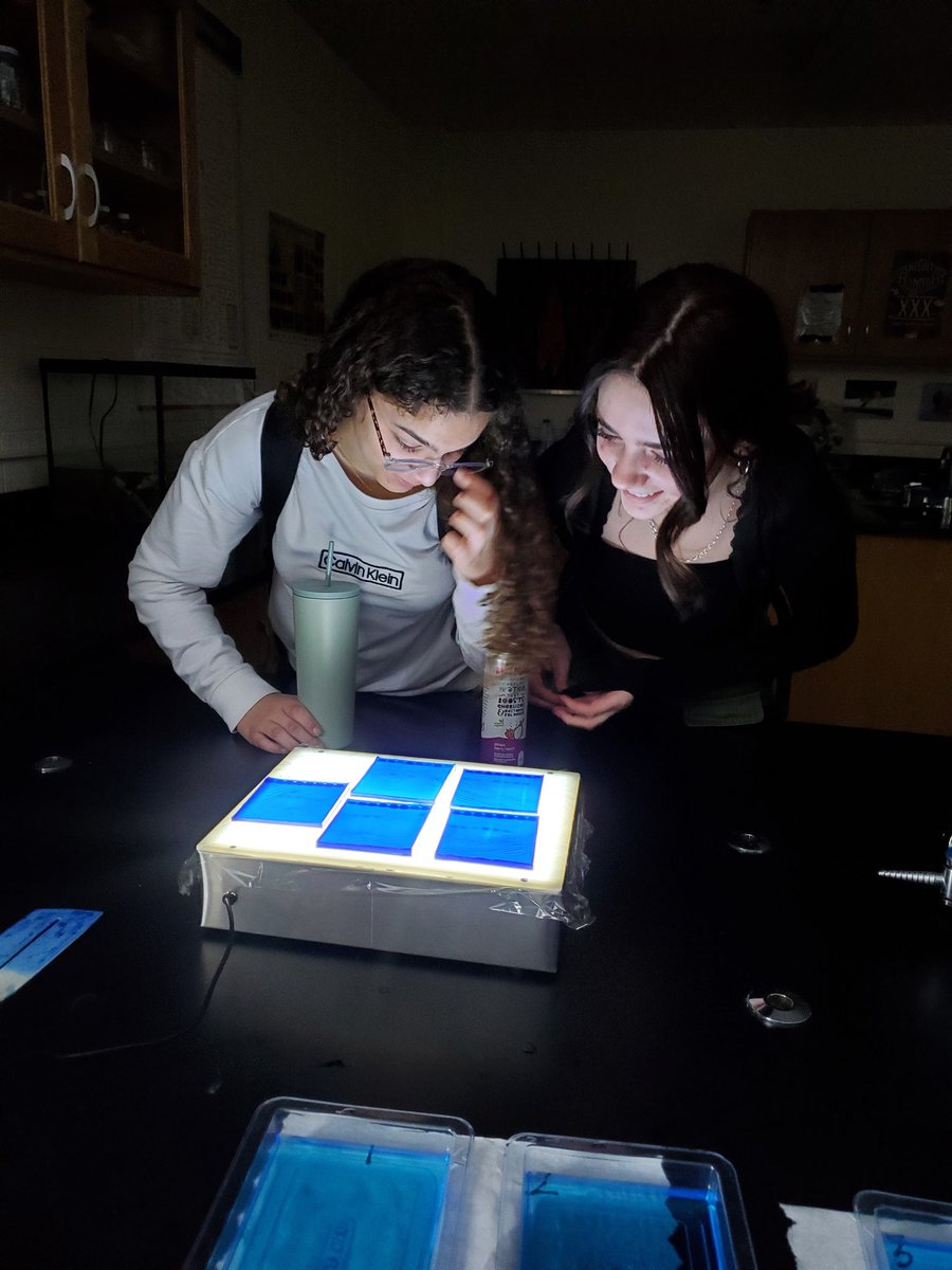 biogilmore's tweet photo. It's DNA electrophoresis day in accelerated bio! Is your California condor male or female? @MHSIrvine #sdzwa https://t.co/U8m85ML3hu
