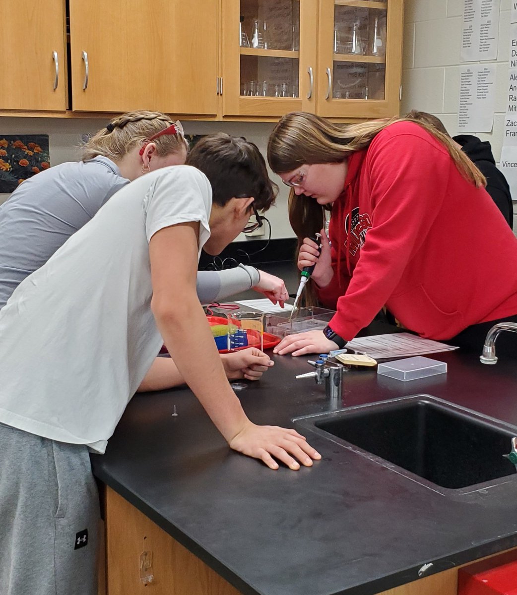 biogilmore's tweet photo. It's DNA electrophoresis day in accelerated bio! Is your California condor male or female? @MHSIrvine #sdzwa https://t.co/U8m85ML3hu