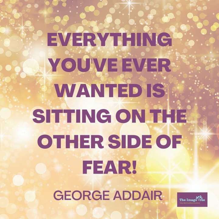 The Image Tree tweet media