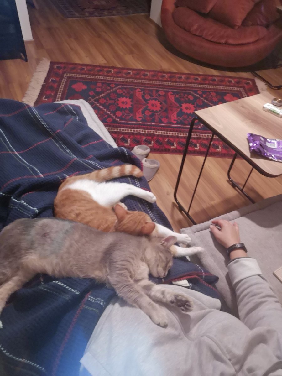 Yoğğğğ çok rahatım, uyanmasınlar diye uyuşmuş bacağım bile yok 😉