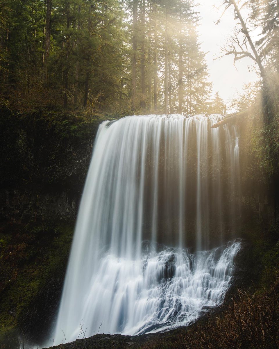 Cody Mayer tweet media