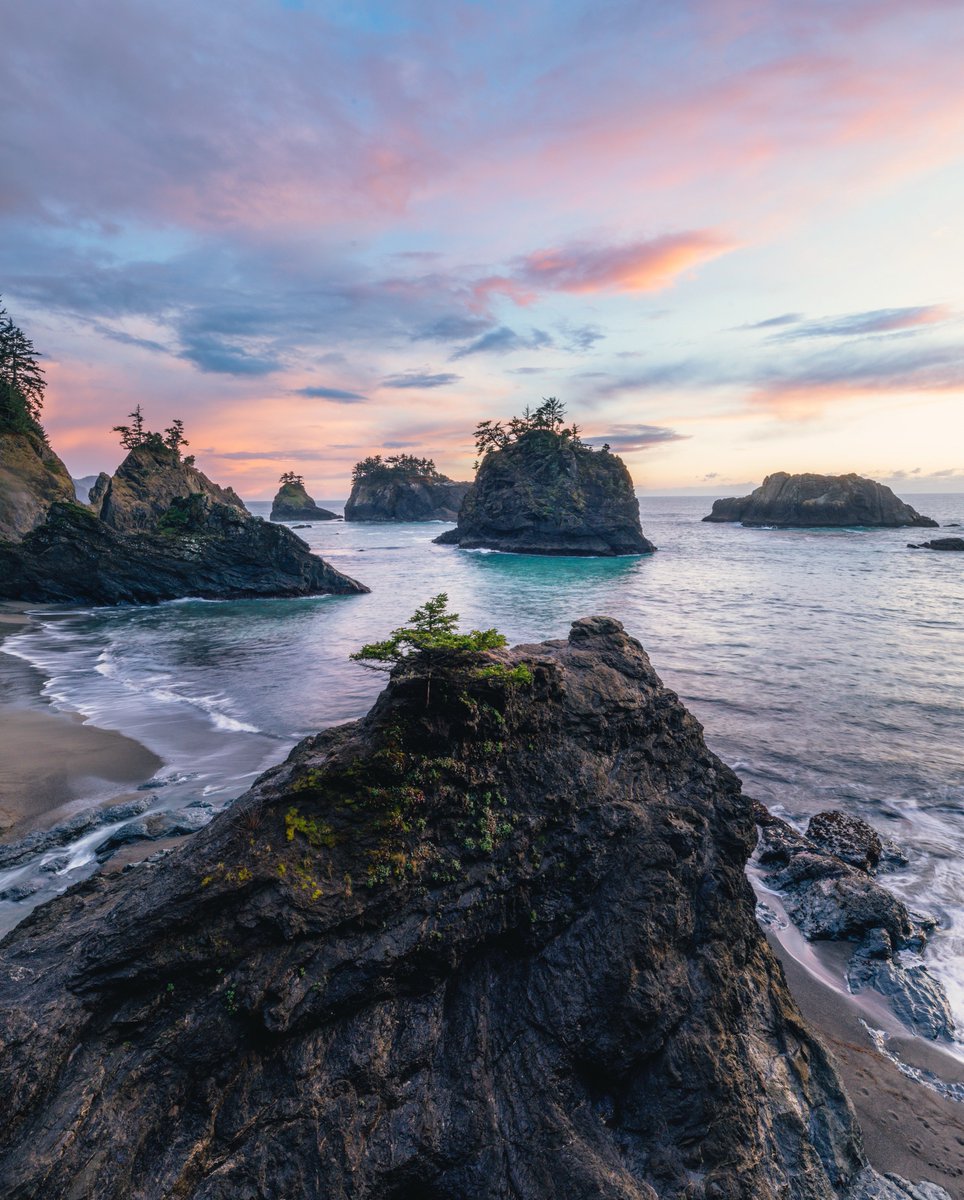 Cody Mayer tweet media