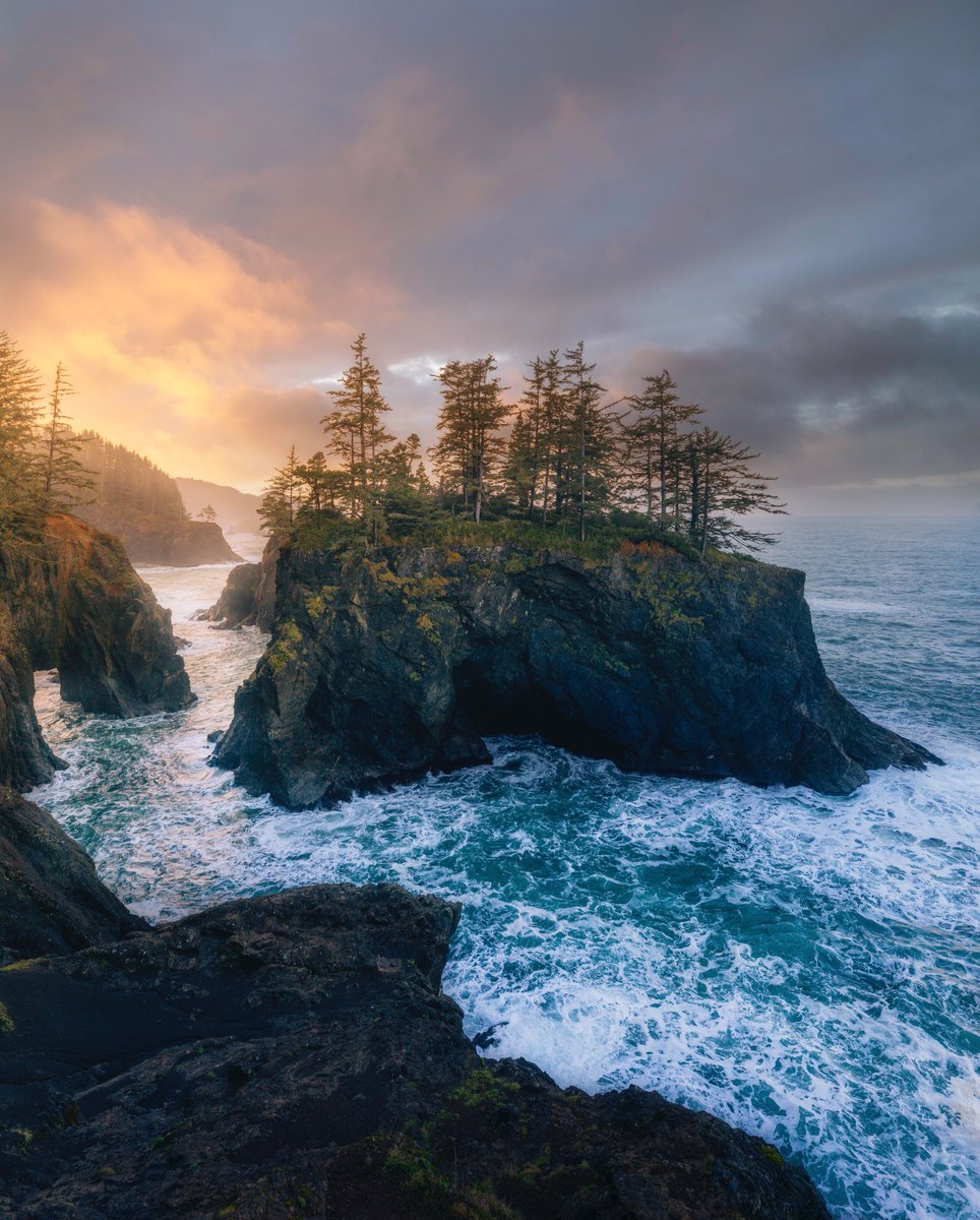 Cody Mayer tweet media