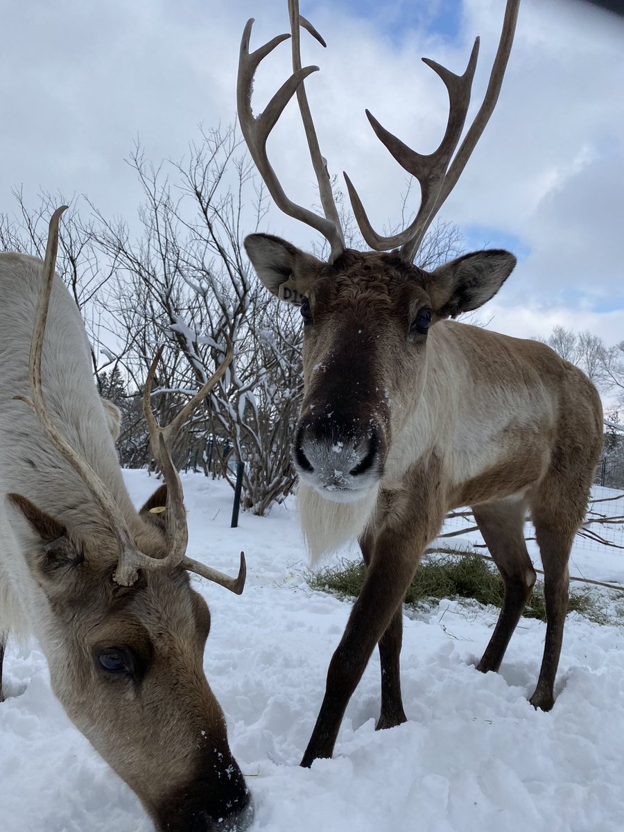 Morgan Dedato tweet media