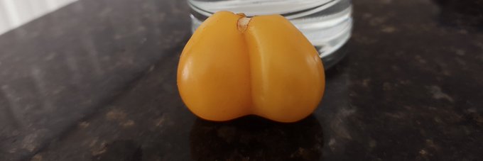 Who did it better? https://t.co/jeVlB3nBay<a href="/tag/sanfrancisco"class="tags"><span>#sanfrancisco</span></a><a href="/tag/portland"class="tags"><span>#portland</span></a><a href="/tag/session"class="tags"><span>#session</span></a>