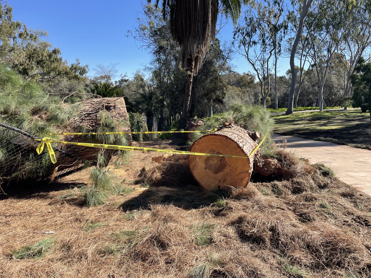 NWS San Diego tweet media