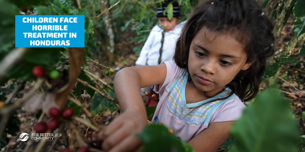 forbettercommun's tweet photo. 🔻In Honduras almost 300 thousand children are involved in child labour including hidden work. That number doesn’t include children who engage in work that doesn’t affect their ability to get an education

🔗Check more insights: https://t.co/Qgj533VODY

#poverty #fightingpoverty https://t.co/DZM1a5huOz