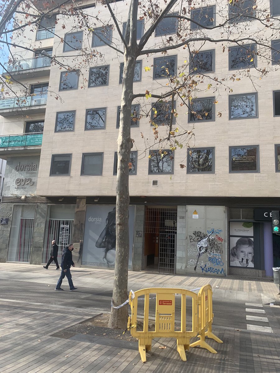 Aina5r's tweet photo. Esperant que la gravetat faci la feina, de moment 1 setmana… @ajterrassa https://t.co/yGm4DRkbas