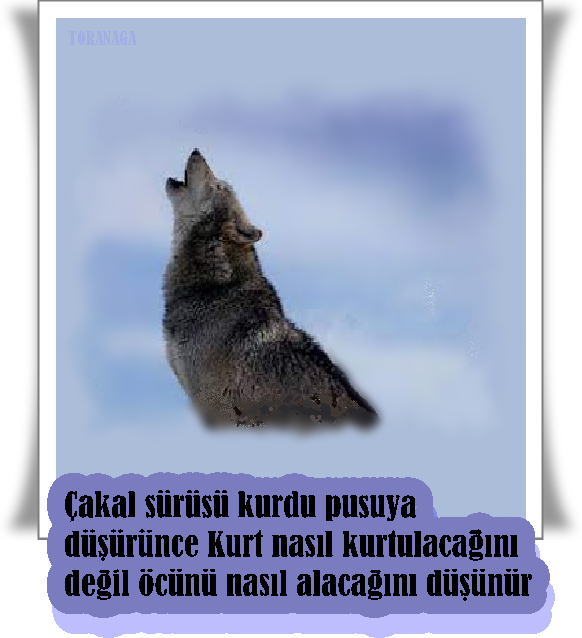 turgutreisgod's tweet photo. #BirKameraya #YENİLECEKSİNİZ 📽️
#EmreOlurYalnızDeğil #EmreOlur
#EmreOlurİçinAdalet #SedatPeker
#TecriteDurDe #TecritKaldırılsın
#DijitalTecritKaldırılsın #SedatPekerKonuşsun
#StopDigitalIsolationNow #BirUmutturYaşamak https://t.co/n4vsFlc3lA