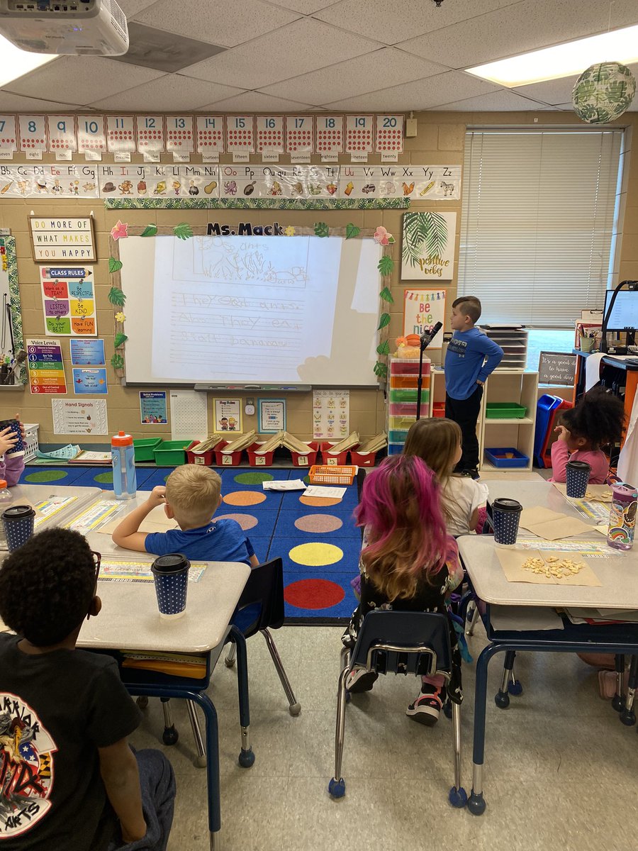 MsMackAACPS's tweet photo. Today we had an Author’s Tea Party to celebrate these 1st graders FABULOUS teaching books! They did such a great job writing all they know about an animal of their choice. @SolleyAACPS @AacpSeril https://t.co/OLUMBaQ7li