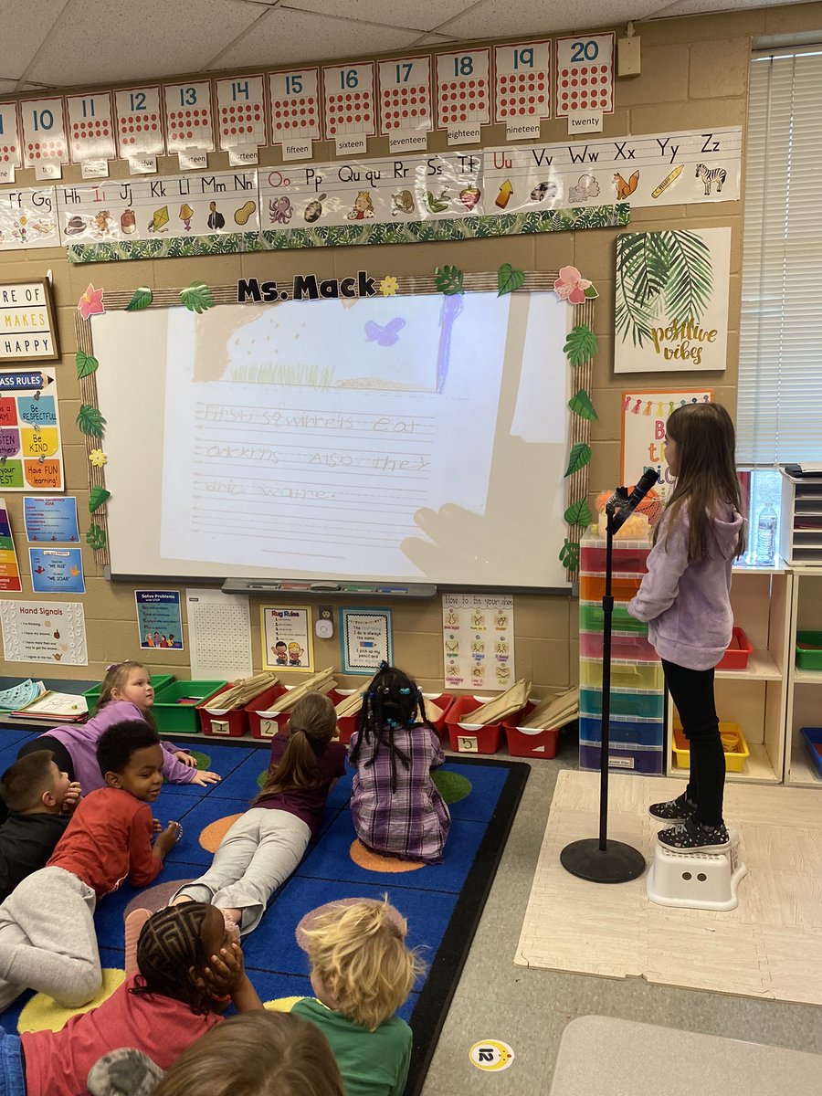 MsMackAACPS's tweet photo. Today we had an Author’s Tea Party to celebrate these 1st graders FABULOUS teaching books! They did such a great job writing all they know about an animal of their choice. @SolleyAACPS @AacpSeril https://t.co/OLUMBaQ7li
