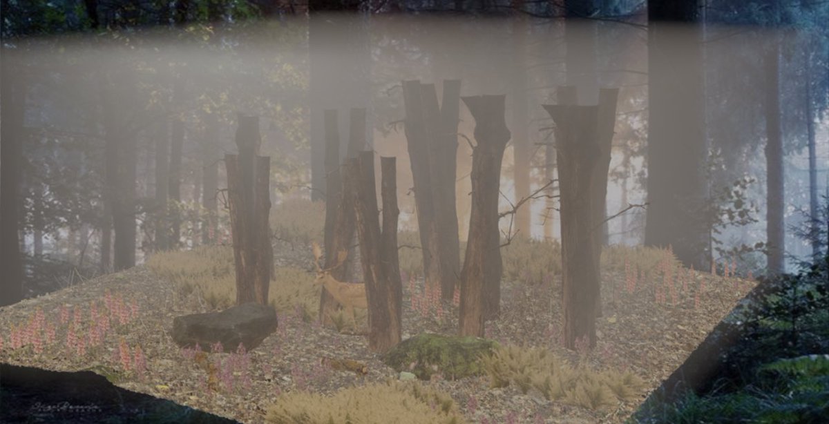 Laaf_NFT's tweet photo. Here are some point of views of my 3D  art concept. Feel free to om me if you have any questions about my work :) #follobackforfolloback #terugvolgvrijdag #3D #NFTs #NFTCollection #NFTGiveaways #art #ArtistOnTwitter #forrest #deer #nature #sol #ada #ETH #Bitcoin https://t.co/sSXUlJTpaV