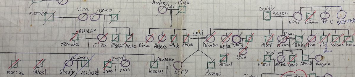 Dan Landau (@landau_lab) on Twitter photo Today (and every day) I remember my parents, Nina and Emmanuel, who spent their childhood hunted like prey in Europe for being born Jewish
I also remember the many family members who did not survive. In a family tree I made in school, those murdered are marked with red lines
1/ Today (and every day) I remember my parents, Nina and Emmanuel, who spent their childhood hunted like prey in Europe for being born Jewish
I also remember the many family members who did not survive. In a family tree I made in school, those murdered are marked with red lines
1/