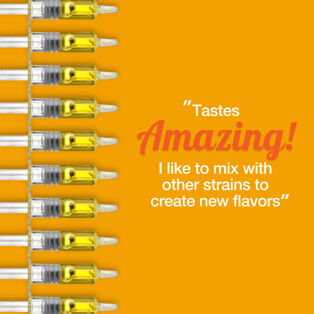 seshbycraft tweet media