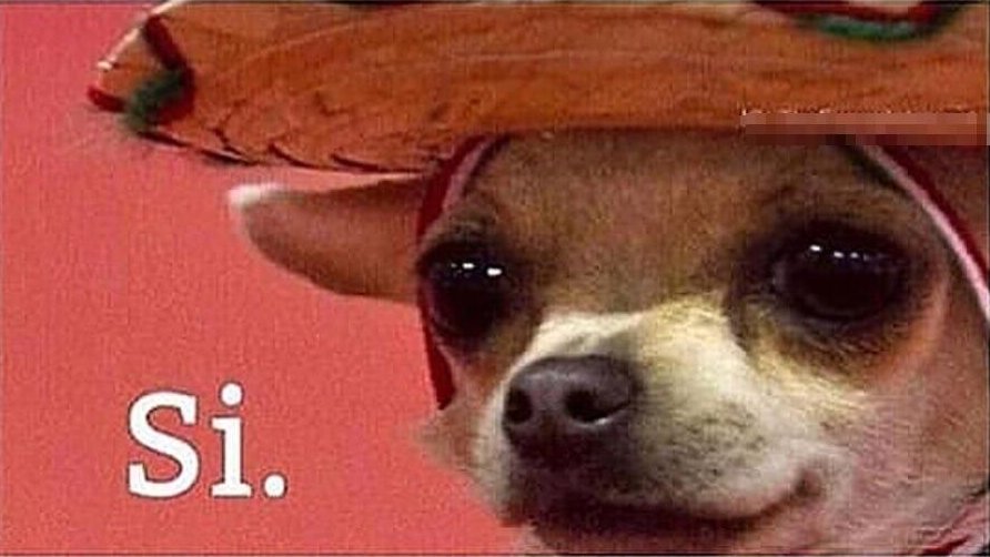 Vandals 🇩🇴 #RDUP tweet media