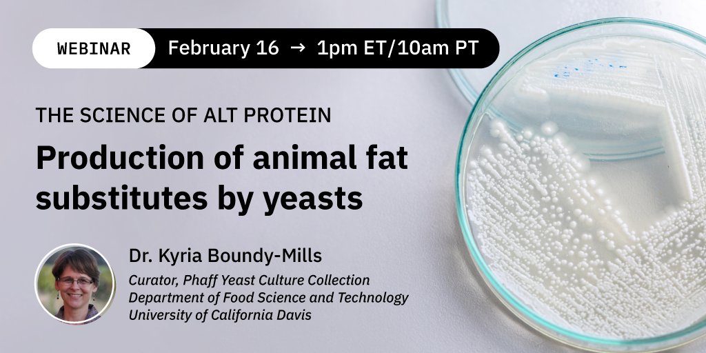 Good Food Science ๐ฌ (@goodfoodscience) on Twitter photo Join our next Science of Alt Protein seminar on Feb 16th where Dr. <a href="/KyriaMills/">Kyria Boundy-Mills</a> of <a href="/ucdavis/">UC Davis</a> will share her research on yeasts that convert inexpensive substrates into oils, incl. substitutes for animal fat and tropical oils for meat alternatives.
Register: zoom.us/webinar/registโฆ Join our next Science of Alt Protein seminar on Feb 16th where Dr. <a href="/KyriaMills/">Kyria Boundy-Mills</a> of <a href="/ucdavis/">UC Davis</a> will share her research on yeasts that convert inexpensive substrates into oils, incl. substitutes for animal fat and tropical oils for meat alternatives.
Register: zoom.us/webinar/registโฆ