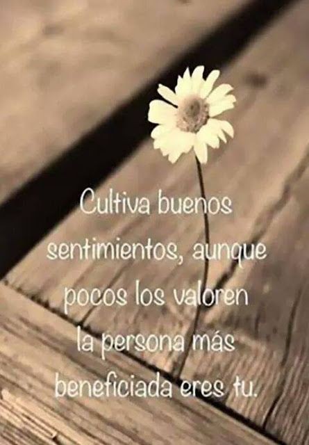 Lo que siembras cosechas 🌹