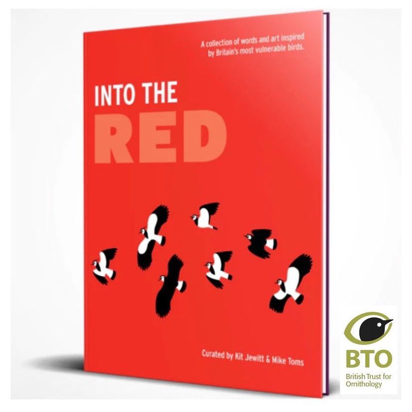 BEAR PRINT design 🌍💙🇺🇦🇵🇸 tweet media