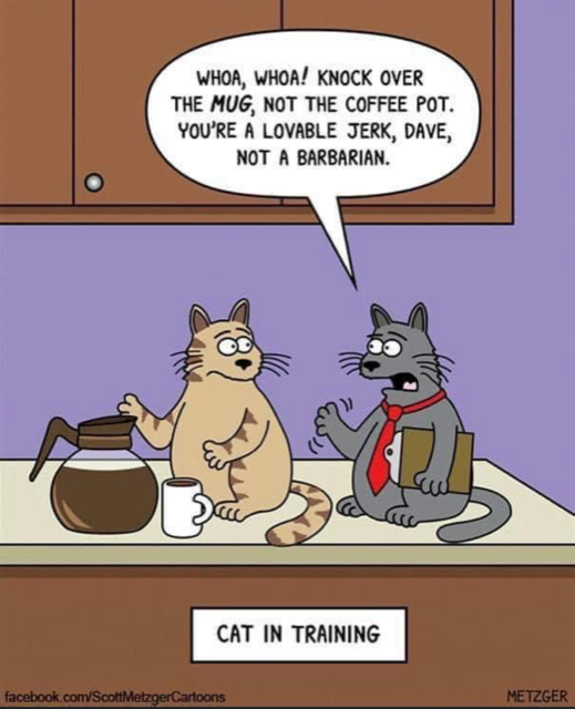 A_Yesilcimen's tweet photo. Always be setting your team up for success!

#feelgoodfriday  #spreadingsmiles  #cartoonsrock https://t.co/3niSCIpazi
