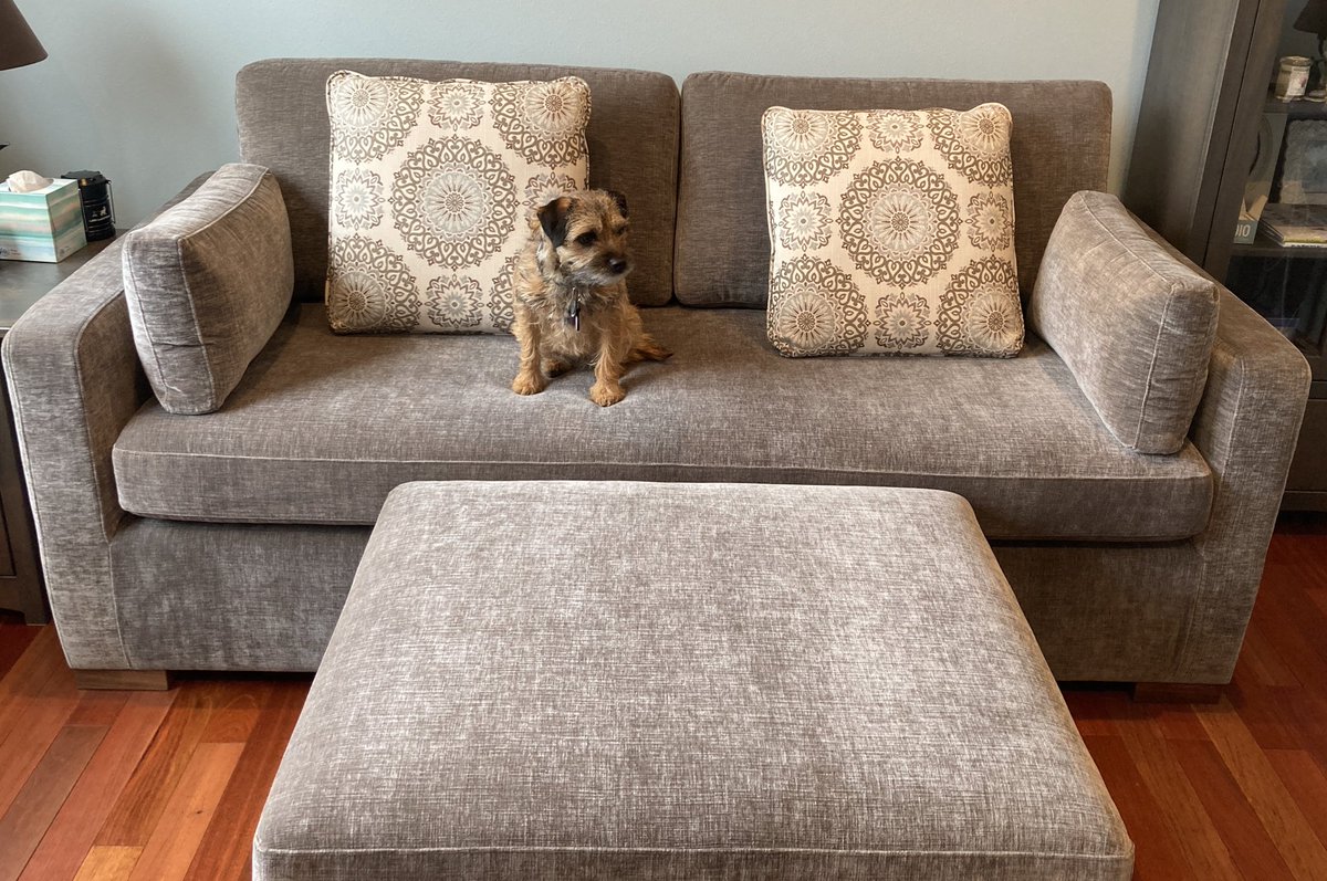 BramblePtbt's tweet photo. Hoomum and I got a new couch for the snug. It's super cozy and only has one cushion, so I can snuggle in without falling into the crack. I am not so sure about the storage options, though!๐๏ธ๐พ #budgeover #ultimatebtcomfort
#BTPosse https://t.co/rgV7avRyST