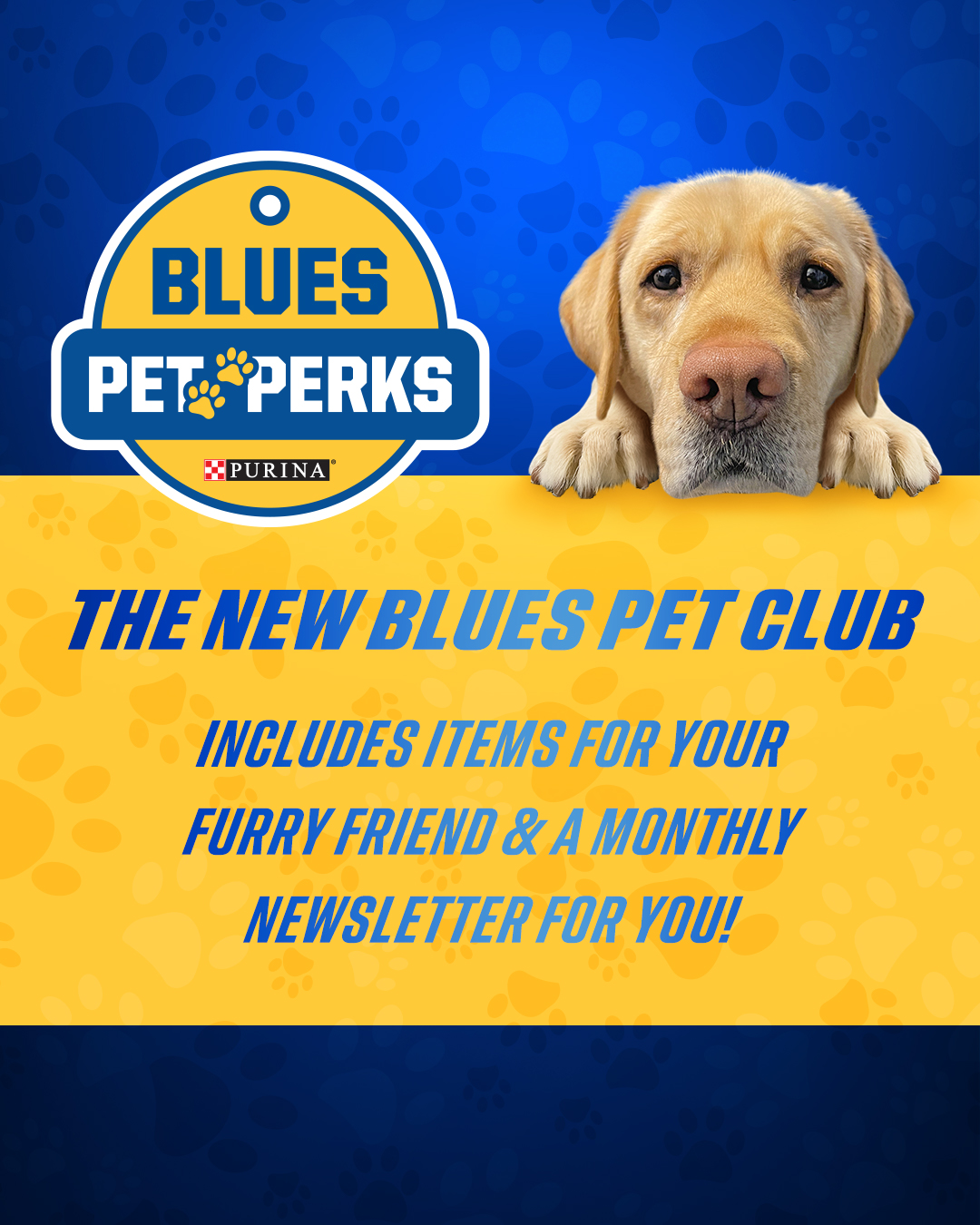 St Louis Blues Dog 